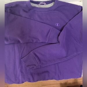 Champion Crewneck Hoodie, Men’s Medium (NEVER WORN)